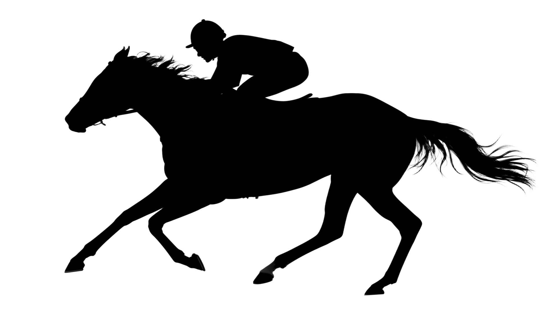 Galloping racehorse